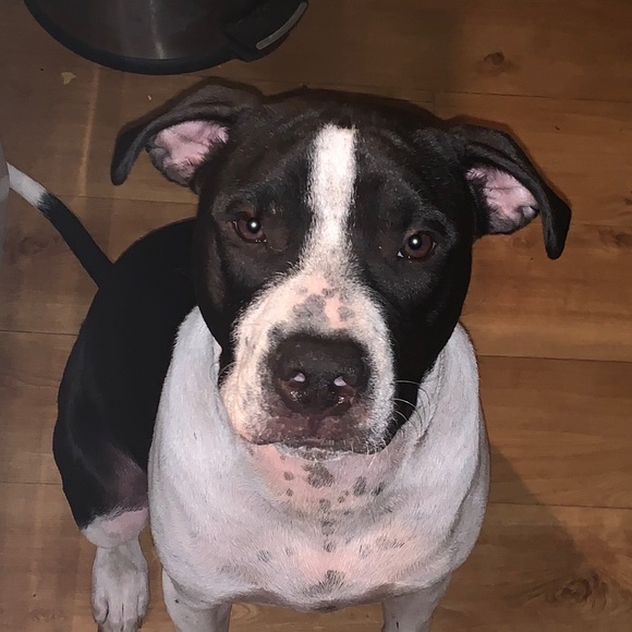 Meet your Posher, Alison - Picture 1 of 1